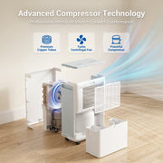 Seavon 30 Pints Dehumidifier for Large Spaces up to 2,000 Sq.Ft, White, 3 Modes, 2 Speeds, Continuous Drain Hose, 0.5 Gallon Tank, Intelligent Memory Function, Auto Defrost, DA101