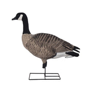 Greenhead Gear GHG Pro Grade XD Fully Flocked Canada Goose Harvester Decoys 4-Pack, Realistic Feather-Like Texture, Lifelike Motion, One-Piece Build, Zero-Glare Finish, 71601