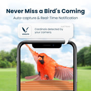 VINGUYS Smart Bird Feeder with 2.5K HD Camera, AI Identification of 11,000+ Species, Solar Powered, IP66 Waterproof, Green
