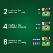 Advantage XD Large Cat Topical Flea Treatment, Fast-Acting, 2-Month Protection, Fragrance-Free, for Cats Over 9 lbs, CA4242006AM