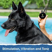 E-Collar Technologies Educator ET300 Black Mini Dog Training Collar, Remote Control, 1/2 Mile Range, Waterproof, Rechargeable, 100 Stimulation Levels, Vibration and Tone