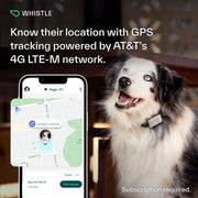 Whistle Switch Smart Collar Kit, GPS Location and Health Tracking, Shadow Black, XS/S for Dogs 5-25 lbs