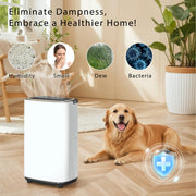 Tehanld 52 Pint Dehumidifier for Large Spaces up to 5000 Sq. Ft., Compressor Moisture Removal, White, LED Display, Timer, Child Lock, Tehanld001
