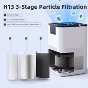 ALROCKET BMJH06 Air Purifier, with H13 True HEPA Filter, Remove 99.9% Smoke Dust Allergies for 300 SQ.ft