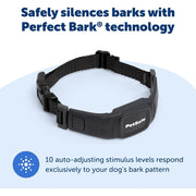 PetSafe NanoBark Bark Control Collar for Small and Medium Dogs, Waterproof, Rechargeable, Lightweight, Low-Profile, 10-Level Static Stimulation, PBC00-17758