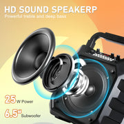 Seenda Karaoke Machine with 2 Wireless Microphones, Bluetooth Speaker, and Portable PA System