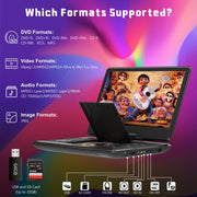 DR. J Professional P2 14 Inch Portable DVD Player with Swivel Screen and Remote Control, Black