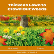Scotts Turf Builder WinterGuard Fall Weed and Feed Lawn Fertilizer and Weed Killer, 33.84 lb, Covers 12,000 Sq Ft, 22447