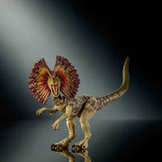 Mattel Jurassic World Hammond Collection Dilophosaurus Action Figure with Articulated Joints and Two Swappable Heads, Deluxe Design, JKM93