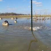 Show Me Ducks MiniQuacker 1.0 Duck Decoy Accessory, 18 lb Thrust, 12 Volt DC Motor, Silver