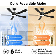 DAYBETTER 52 Inch Ceiling Fan with Lights, WiFi Smart Control, 6-Speed Reversible DC Motor, Dimmable LED Light, Black, JABL318-WUS-D1