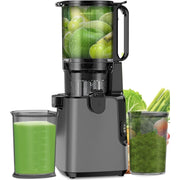 LQZ Juicer Machines with 5.8