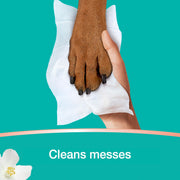 PROCTER & GAMBLE 94646091 Pampers Wipes, Clean & Calm, Cotton Blossom Scent, 672 Wipes Total (12X Pop-Top Packs)