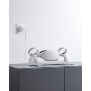 Anker Y1010121-4 Charging Dock for Oculus Quest 2