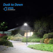 Leonlite ZH3BL-50W50-BRZ LED Flood Lights, 5000K Daylight