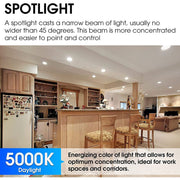 Yankon Outdoor PAR38 LED Flood Light Bulb, 11W 90W Equivalent, 900 Lumens, Daylight 5000K, Wet Rated, E26 Base, 6 Pack