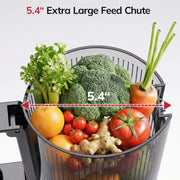 Laudlife 20251113XMZJ Cold Press Masticating Juicer, 5.4 in Large Feed Chute, 150W Motor, Ultra Quiet, BPA Free, Easy Clean, Gray