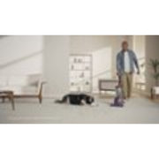 Dyson 405866-01 Ball Animal 3 Upright Vacuum with 2 accessories - Nickel/Silver