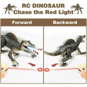 Richgv Boys' Remote Control Dinosaur Toys, Velociraptor