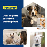 PetSafe NanoBark Bark Control Collar for Small and Medium Dogs, Waterproof, Rechargeable, Lightweight, Low-Profile, 10-Level Static Stimulation, PBC00-17758