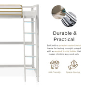 Furniture of America EC-BTS1239-W Twin Kids Loft Bed w/ Guardrails, White & Gold, Fits Standard Twin Mattress