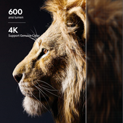 ELEPHAS 300