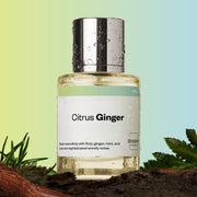 Dossier Citrus Ginger Eau de Parfum Unisex Fragrance Fresh Citrus and Ginger Notes 1.7 oz Spray