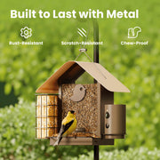 Birdfy Smart Bird Feeder with 1080P HD Camera, 60FPS Video, AI Bird Identification, Night Vision, Cloud Storage, Suet Holder, Brown