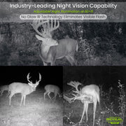 Tactacam Reveal XB Cellular Trail Camera
