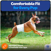 American Kennel Club Male Dog Wrap Disposable Diapers with Wetness Indicator, Medium Waist 18-25 in, 50 Count AKC70012