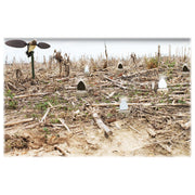 Mojo Outdoors HW2461 Dove-A-Flicker Spinning Wing Dove Decoys for Dove Hunting, 4 Pack