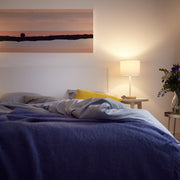 Philips LED Frosted A19 Light Bulb, EyeComfort Technology, 1500 Lumen, Daylight 5000K, 13.5W Equivalent to 100W, E26 Base, Indoor Use, 4-Pack