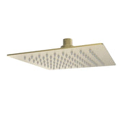 DreamLine Ascend Ultra-Thin Square Shower Head, 8 in., Brushed Brass, 1.8 GPM, Single Spray Pattern, SHAS08X30