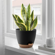 Foukus Set of 5 Self-Watering Plant Pots with Drainage Holes, Eco-Friendly Black Plastic Planters for Indoor and Outdoor Use, Sizes 7in to 5in