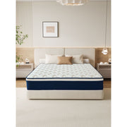 Kesyup Queen Size 12 Inch Mattress in a Box
