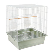 Vibrant Life Small Bird Cage with Natural Wood Perch, Two Plastic Food Bowls, Pull-Out Tray, White Easy to Assemble