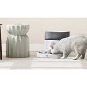 Instachew IC790 Purechew Double Automatic Pet Feede, 5L