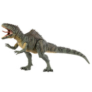 Mattel Jurassic World Hammond Collection Giganotosaurus Action Figure, 29-Inch, 21 Articulations, Glass Eyes, Posable Tongue, Wired Tail, HXF57