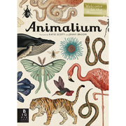 Big Picture Press Animalium Welcome to the Museum Hardcover Book, Oversized Natural History Illustration