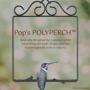 Pop's Birding Original Hummingbird Swing - Black