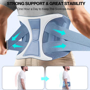 NEENCA Back Brace Adjustable Lumbar Support Belt with Patented Bionic Support System, Blue, Size M
