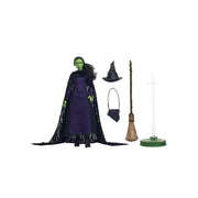 Mattel HXY38 Universal Pictures Wicked Deluxe Elphaba Fashion Doll & Accessories With Braided Hair
