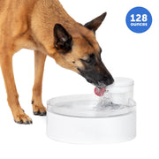 PetSafe Outlast Pumpless Dog Water Fountain, 128 oz, White, Ion-X Filtration, Dishwasher Safe, PWW00-17959