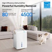 ITdodo Dehumidifier for Basements and Large Rooms, 80 Pints Moisture Removal, Up to 4500 Sq.Ft Coverage, White, Adjustable Humidistat, Automatic Defrost Control, Dual Timer