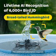 Birdfy Bird Bath Pro Outdoor Bird Bath Basin with Solar-Powered Fountain, Dual-Lens 1080P HD Camera, 20in Round Blue Hanging Design