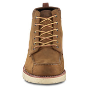 Irish Setter Setter Fifty 6