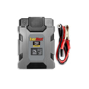 EverStart 750W Power Inverter, 12V DC to 110V AC, Dual AC Outlets, 2 USB Ports, Compact, Black, 661945066