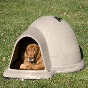 Petmate Indigo Dog House with Microban, 25-50 Lbs