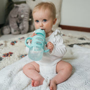 Dr. Brown's Milestones Wide-Neck Sippy Straw Bottle with Silicone Handles, Gray and Blue, 9oz, 2-Pack