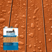 Olympic WaterGuard Exterior Wood Stain and Sealer, Woodland Cedar Transparent, 1 Gallon, 55167-01
